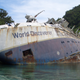 Illustration for article titled Oh Look, Theres a Dead Cruise Ship In Google Maps